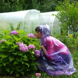 Екатерина Елизарова