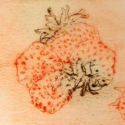 Наталья Алаторцева