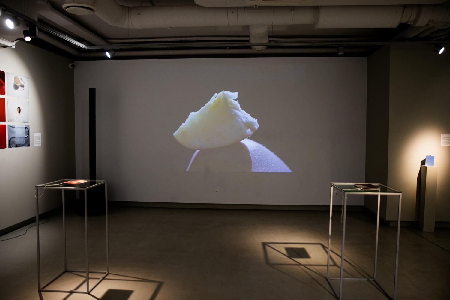 Новые художники. Секция Фотография