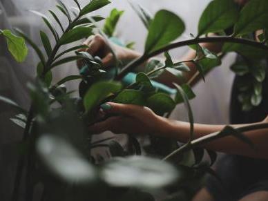 Лилия Файзуллова - Важные вещи, 2022