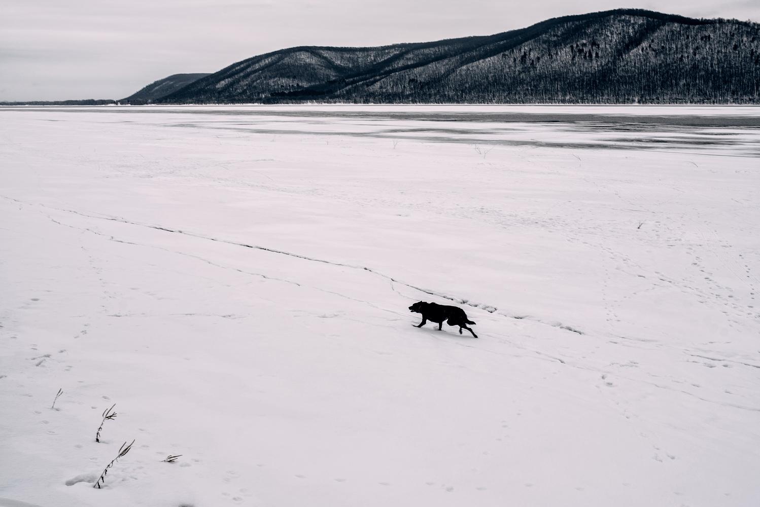 Наталья Шульгина