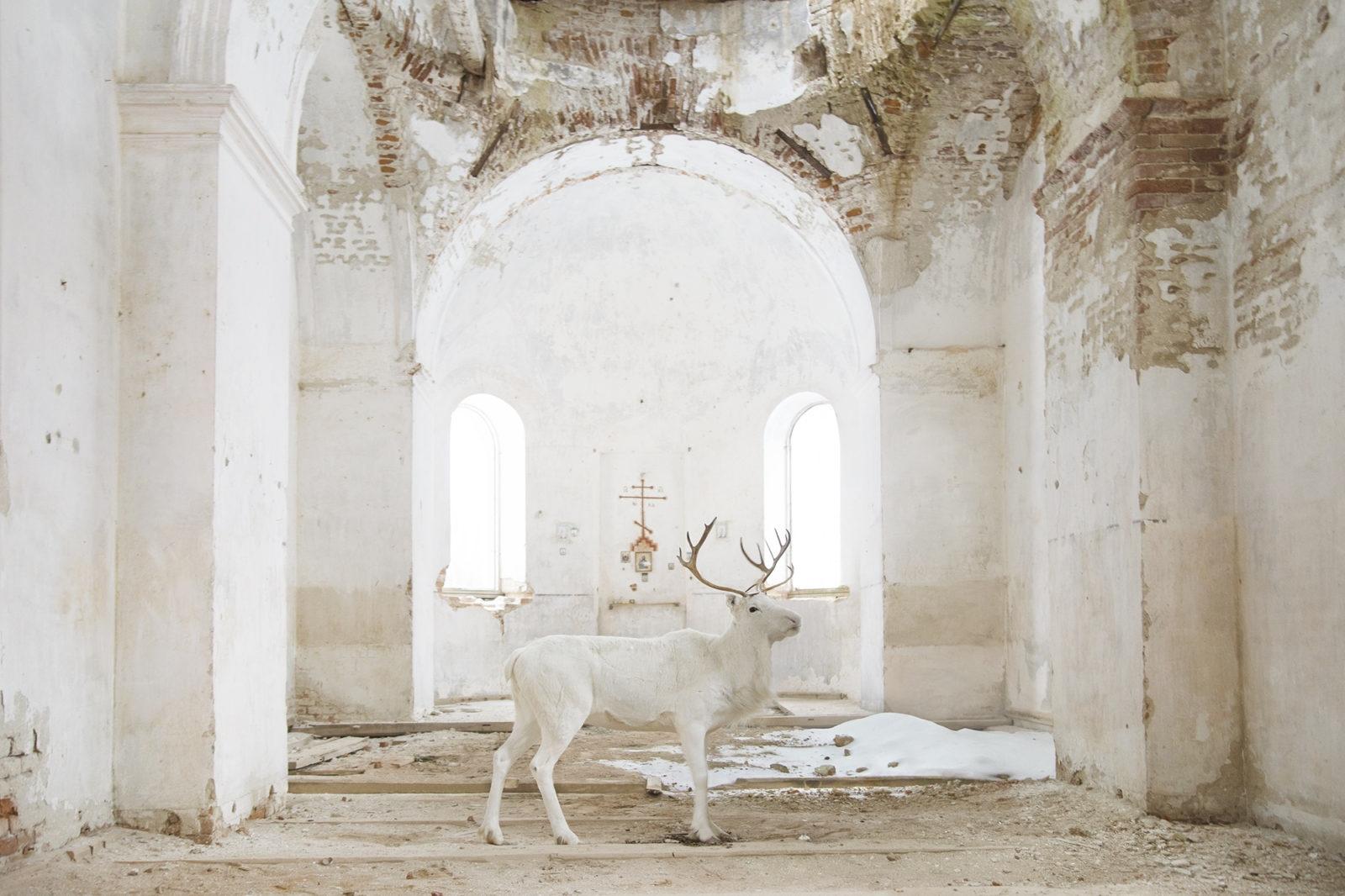 Постобработка и цветокоррекция