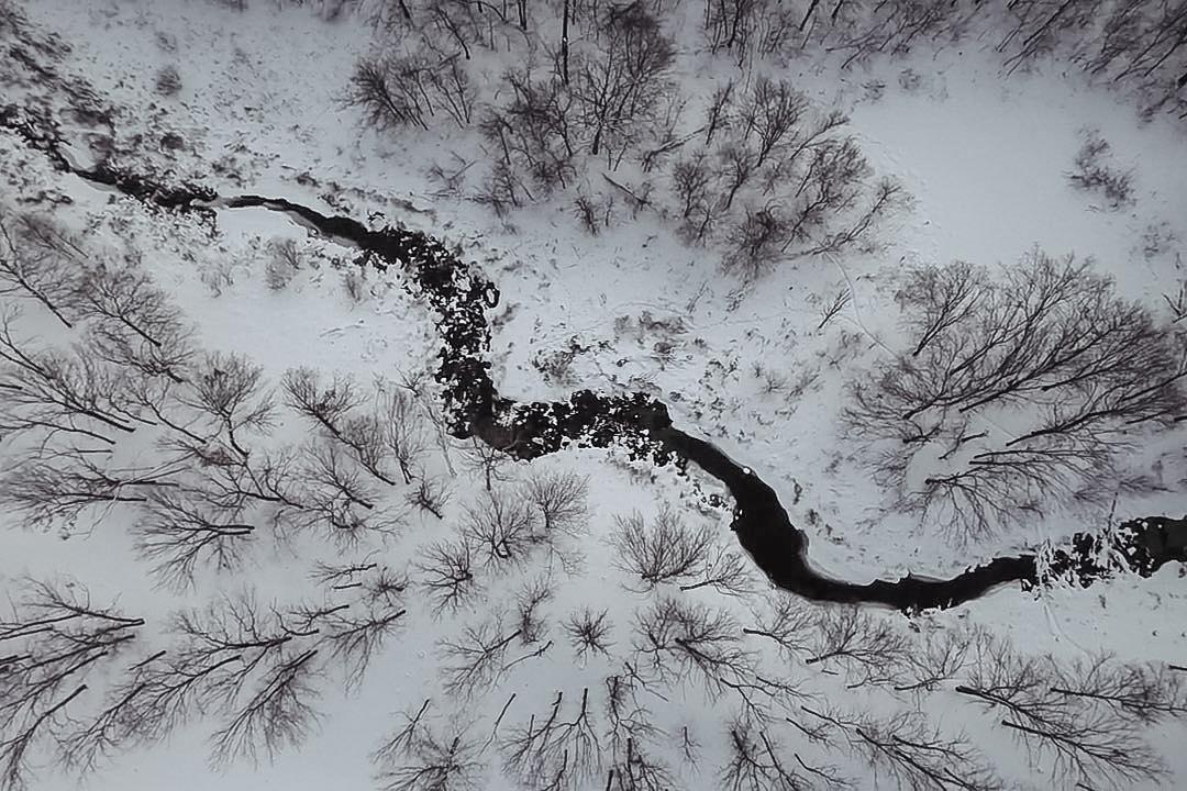 Наталья Шульгина