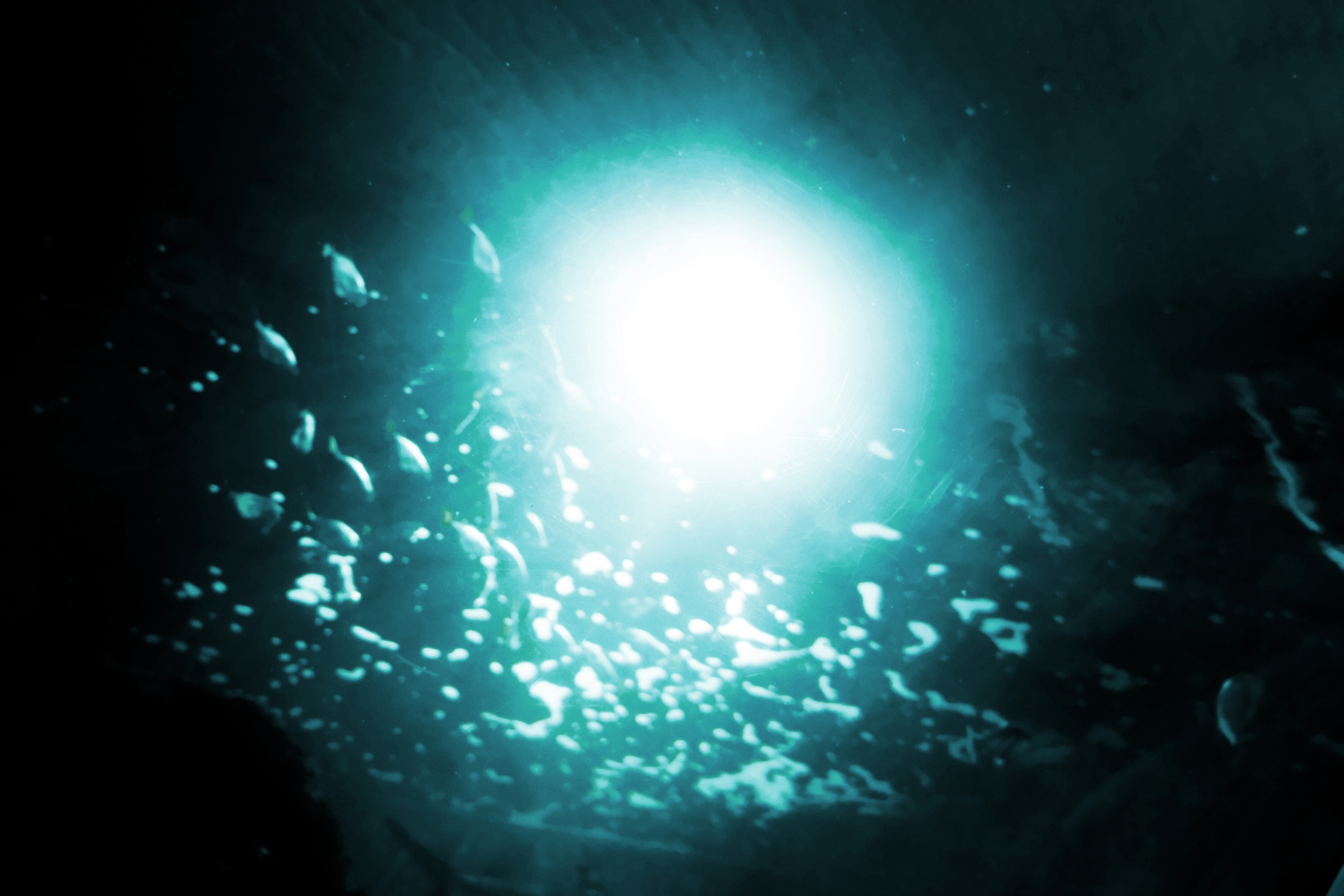 Наталья Шульгина